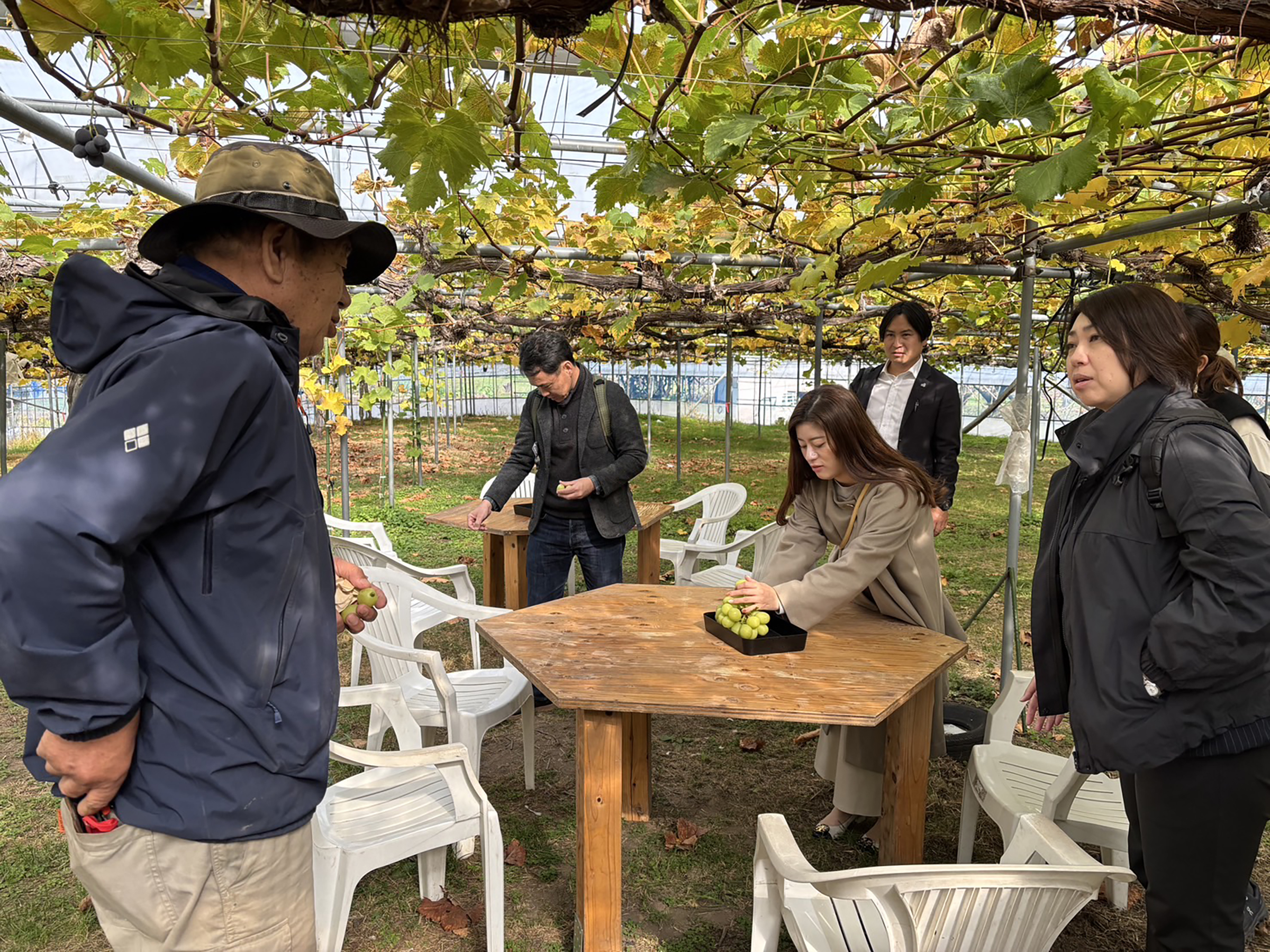 fruit-picking01